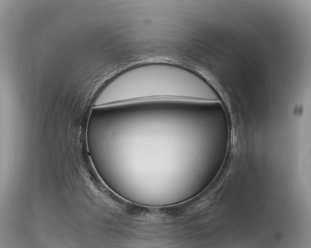 X0000115480201200911061032