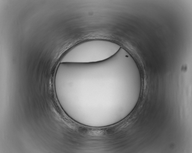 X0000115480202200911061032