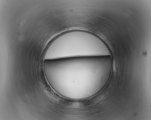 X0000115480204200911061032