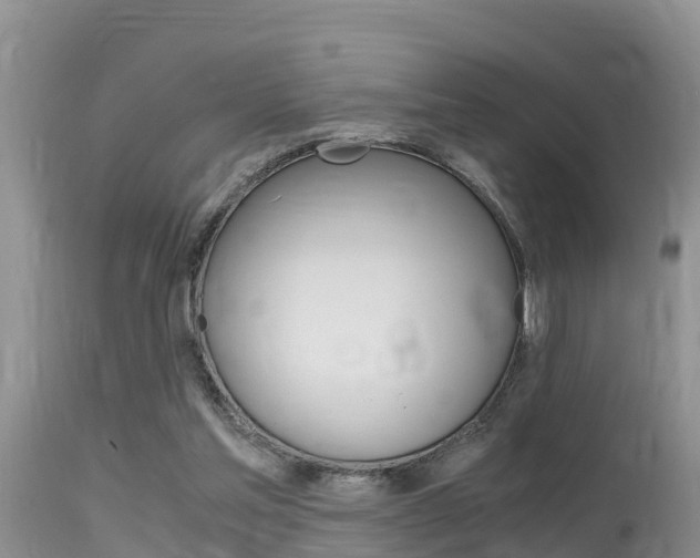X0000115480205200911061032