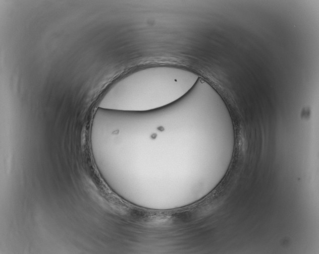 X0000115480206200911061032