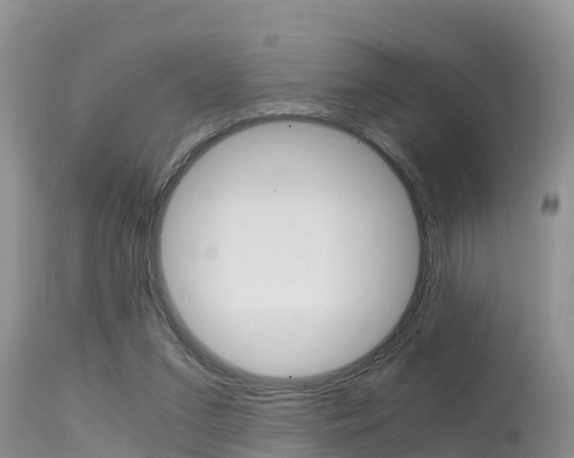 X0000115480207200911061032
