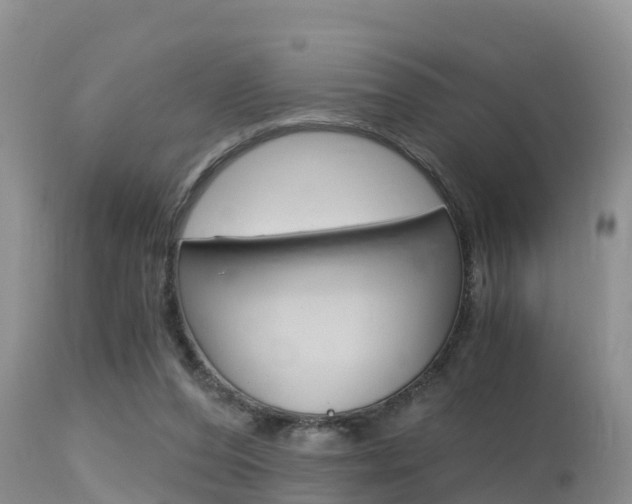 X0000115480208200911061032