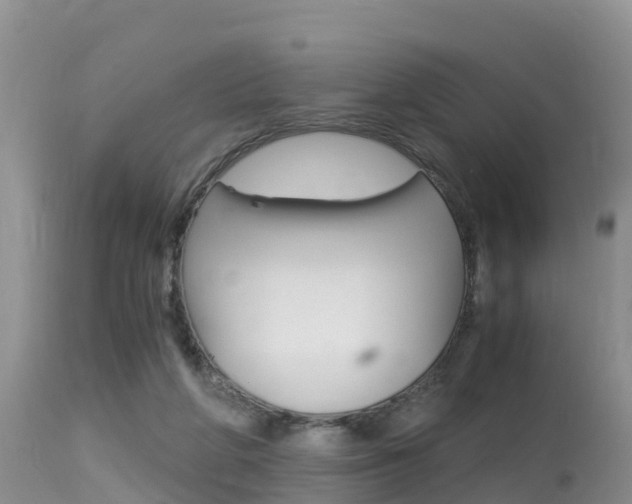 X0000115480210200911061032
