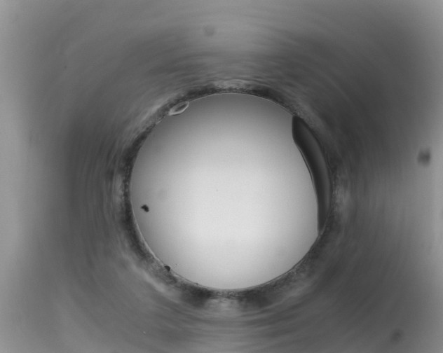 X0000115480211200911061032