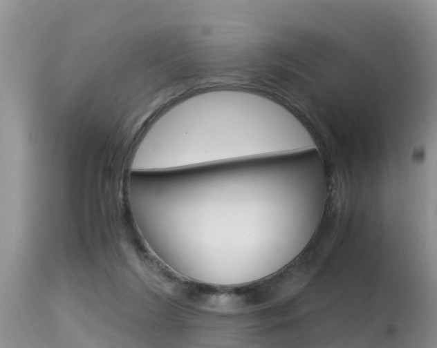X0000115480212200911061032