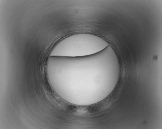 X0000115480214200911061032
