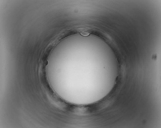 X0000115480217200911061032