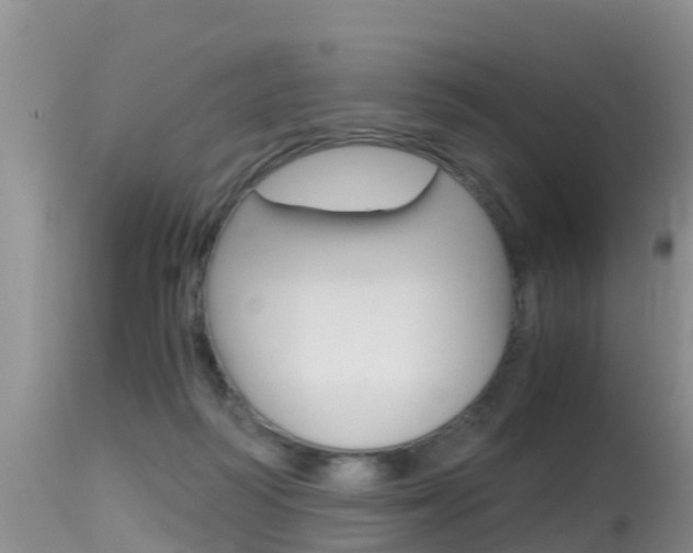 X0000115480218200911061032
