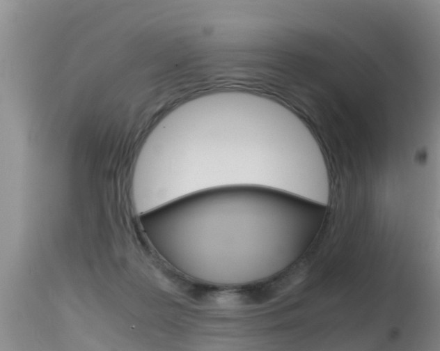 X0000115480219200911061032