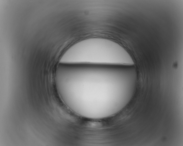 X0000115480220200911061032