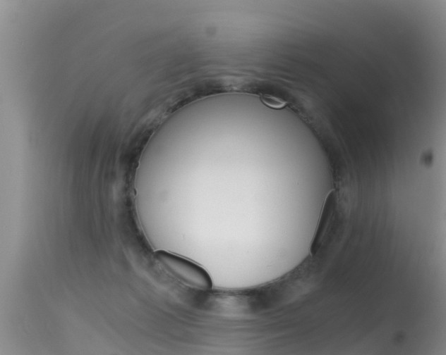 X0000115480221200911061032