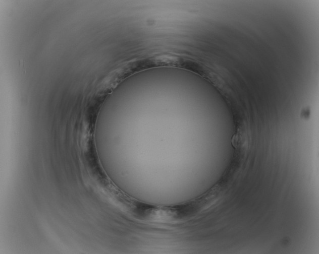 X0000115480223200911061032