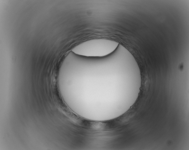 X0000115480226200911061032