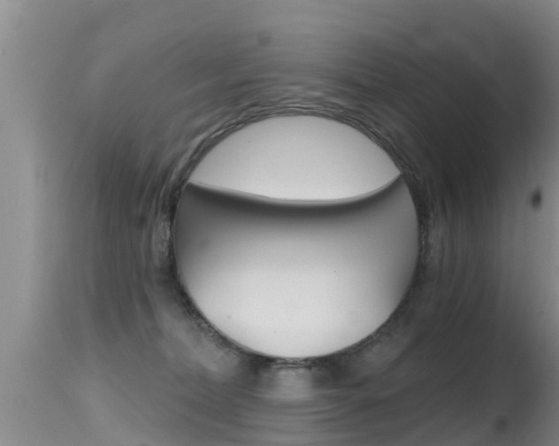 X0000115480228200911061032
