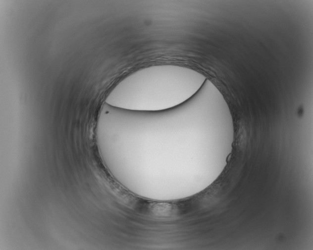 X0000115480230200911061032