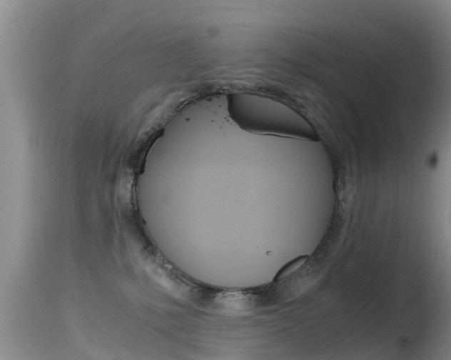 X0000115480231200911061032
