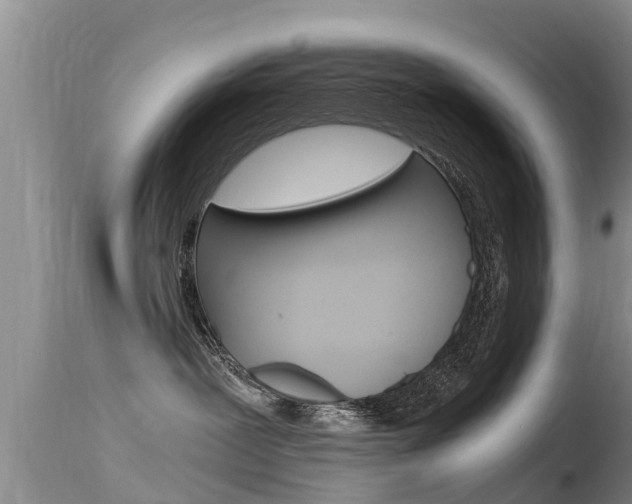 X0000115480239200911061032