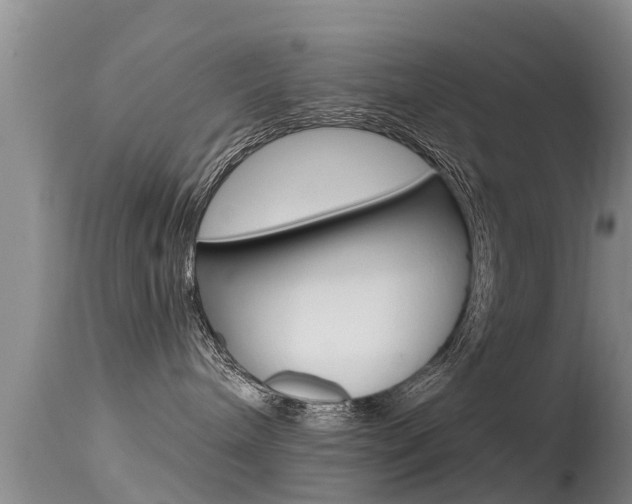 X0000115480240200911061032