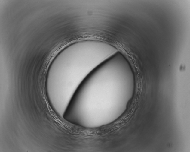 X0000115480241200911061031
