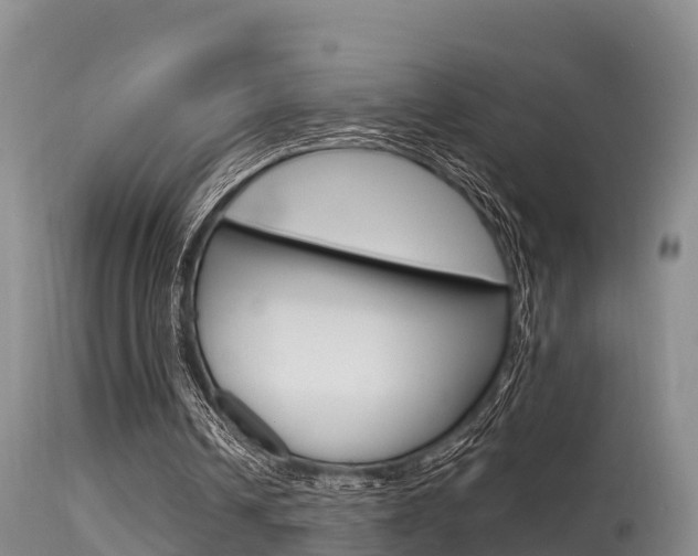 X0000115480242200911061031