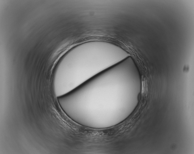 X0000115480243200911061031