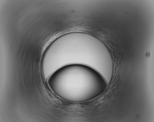 X0000115480244200911061031