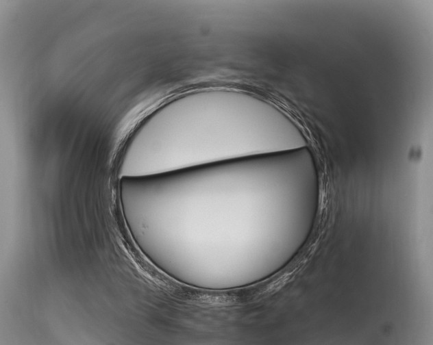 X0000115480245200911061031