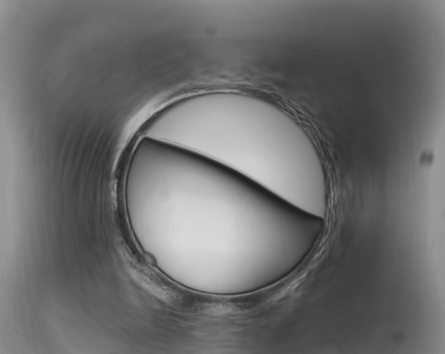 X0000115480246200911061031