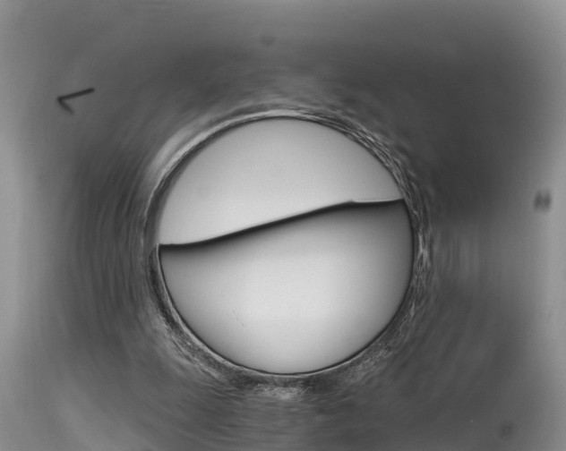 X0000115480247200911061031