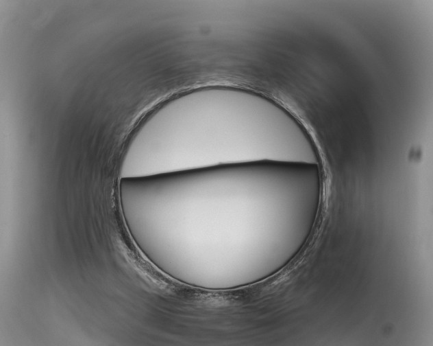 X0000115480249200911061031