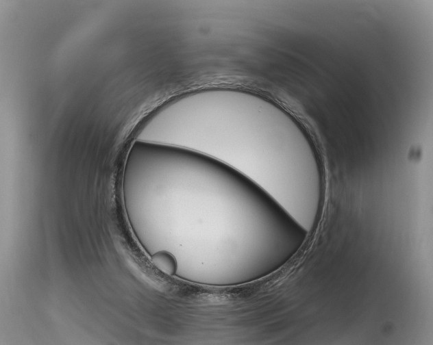 X0000115480250200911061031