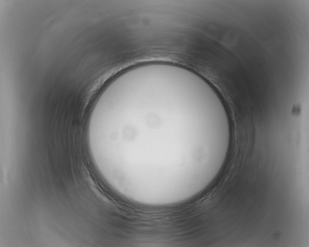X0000115480252200911061031