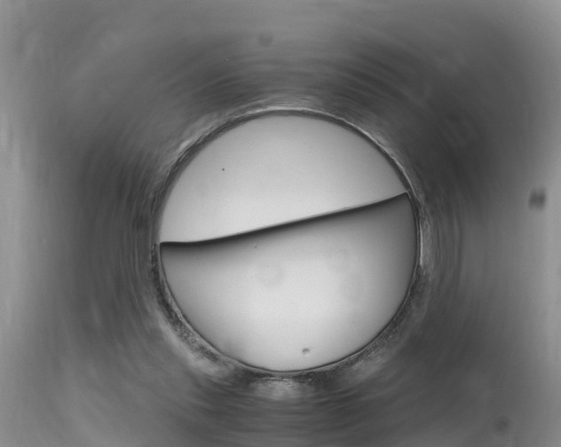 X0000115480253200911061031