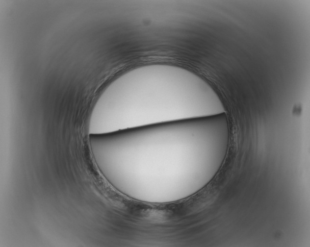 X0000115480255200911061031