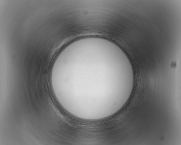 X0000115480256200911061031