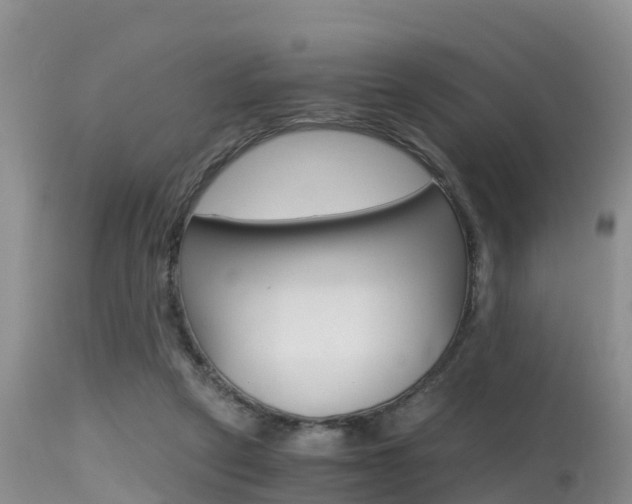 X0000115480257200911061031