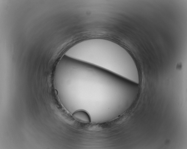 X0000115480258200911061031