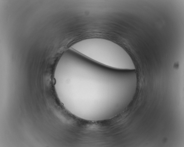 X0000115480259200911061031