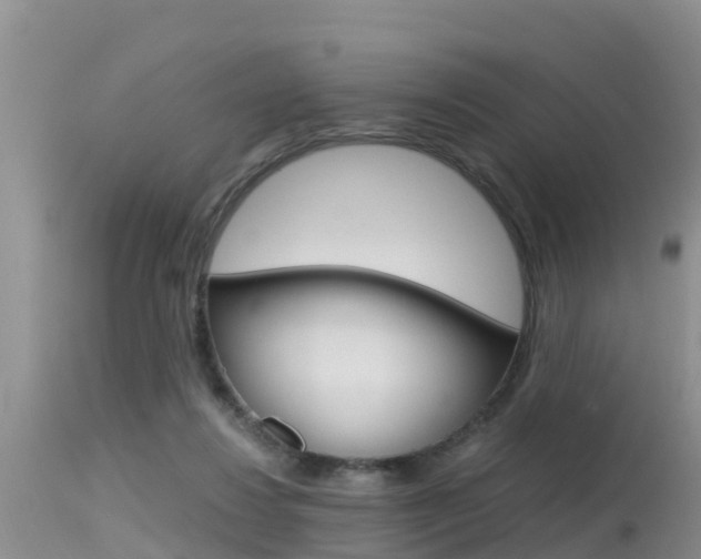 X0000115480260200911061031