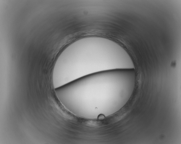 X0000115480261200911061031