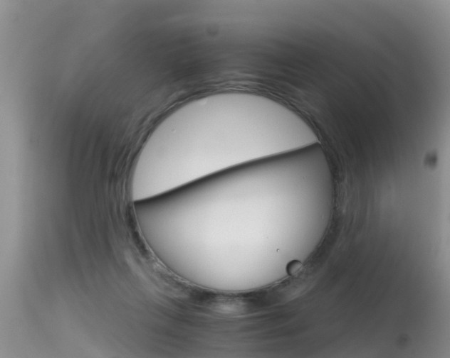X0000115480263200911061031