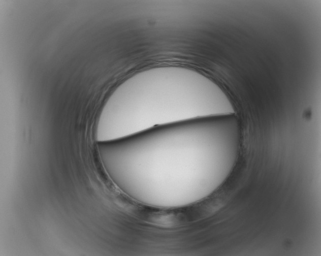 X0000115480267200911061031