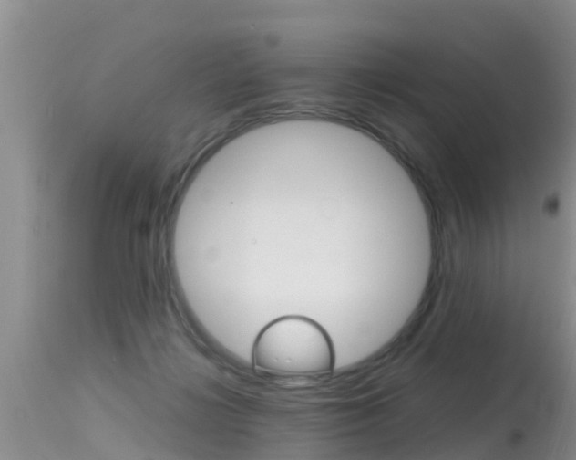 X0000115480268200911061031