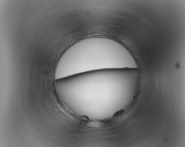 X0000115480269200911061031