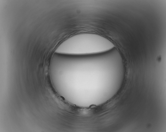 X0000115480273200911061031