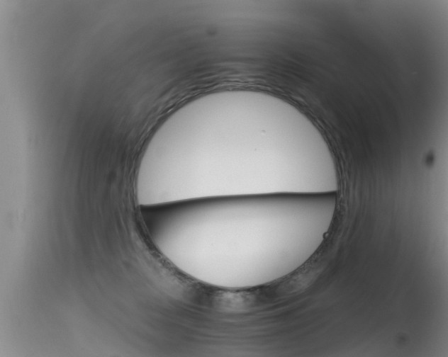 X0000115480277200911061031