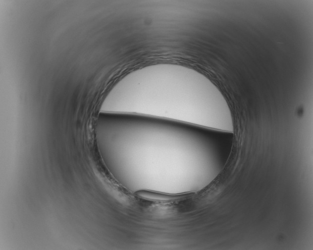 X0000115480280200911061031