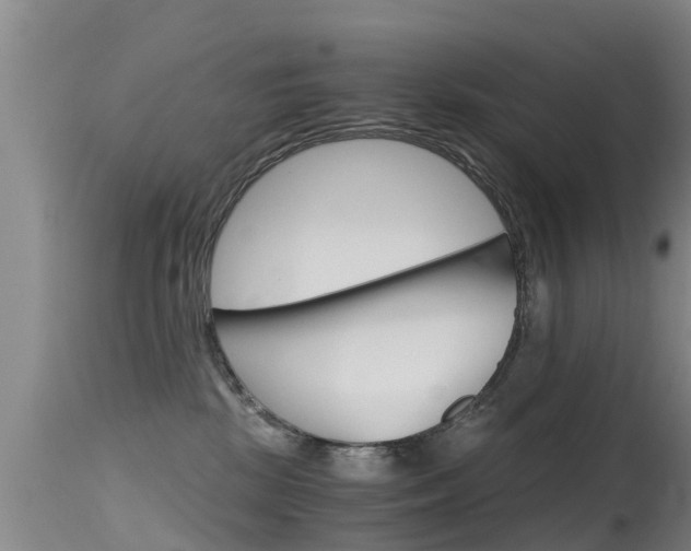 X0000115480281200911061031