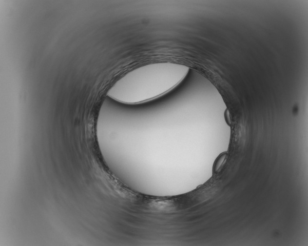 X0000115480283200911061031